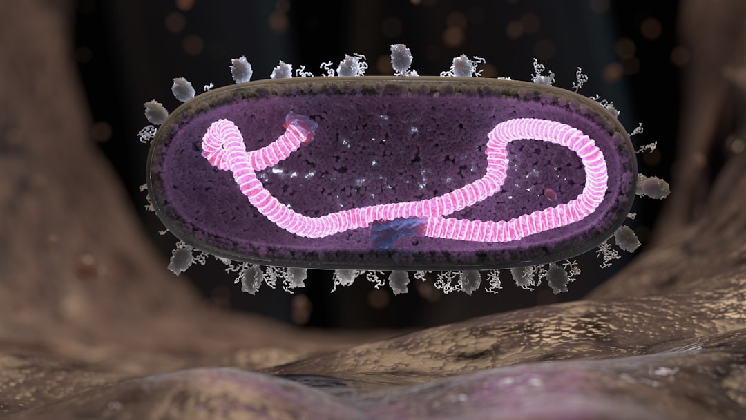 Photo Biohacking mitochondrialny